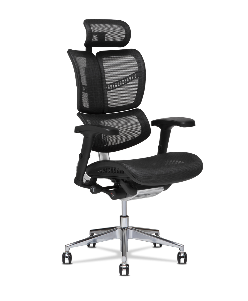 VERUS Height-adjustable resin office chair with 5-Spoke base By Herman  Miller