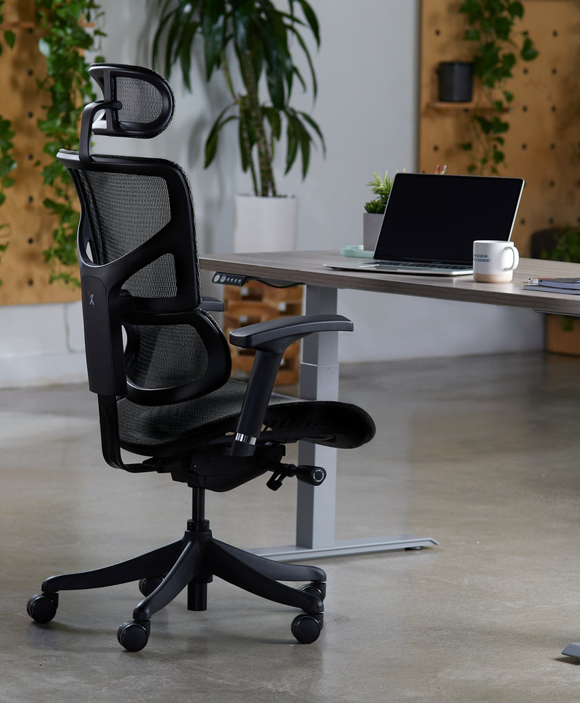 X-Chair X-Basic DVL Task Chair Review