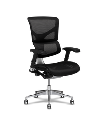 Office Chairs & Office Accessories | All Products | X-Chair