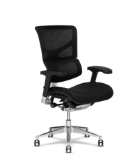 Office Chairs & Office Accessories | All Products | X-Chair