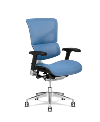 lubricant water based terbaik CloudRest Pro Ergonomic Office Chair Swivel Tilt Gaming Chair with Lumbar  Support Computer Chair Gray BBY-SC-CH228-GRAY main image 1
