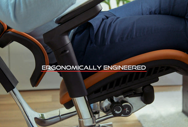 Ergo x online chair