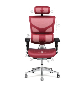 https://www.xchair.com/cdn/shop/files/Ergonomics-50-50_Block-FeaturesChair-Red_X2_3da26bd8-b1c1-43a1-89e1-3f3b457c480c_320x.progressive.jpg?v=1680127331