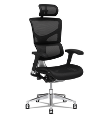 Buy x chair deals