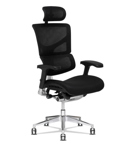 Show me the x chair new arrivals