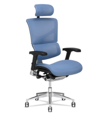 Office Chairs  X-Chair Official Site