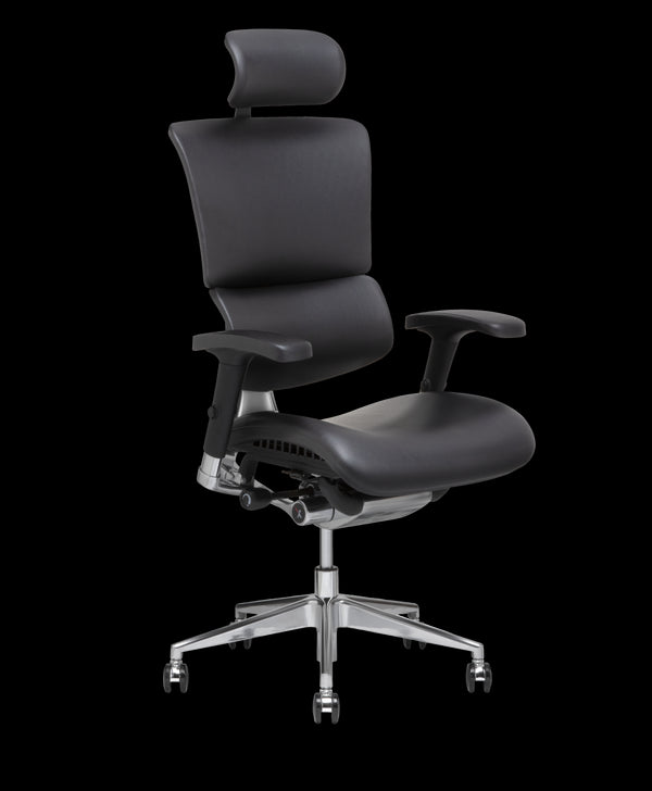 Shop X-Chair Office Chairs and Accessories