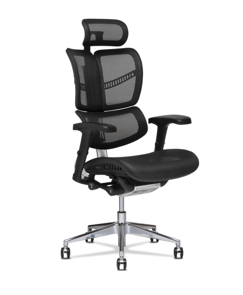 XG Wing Split Back Office Chair X Chair Official Site