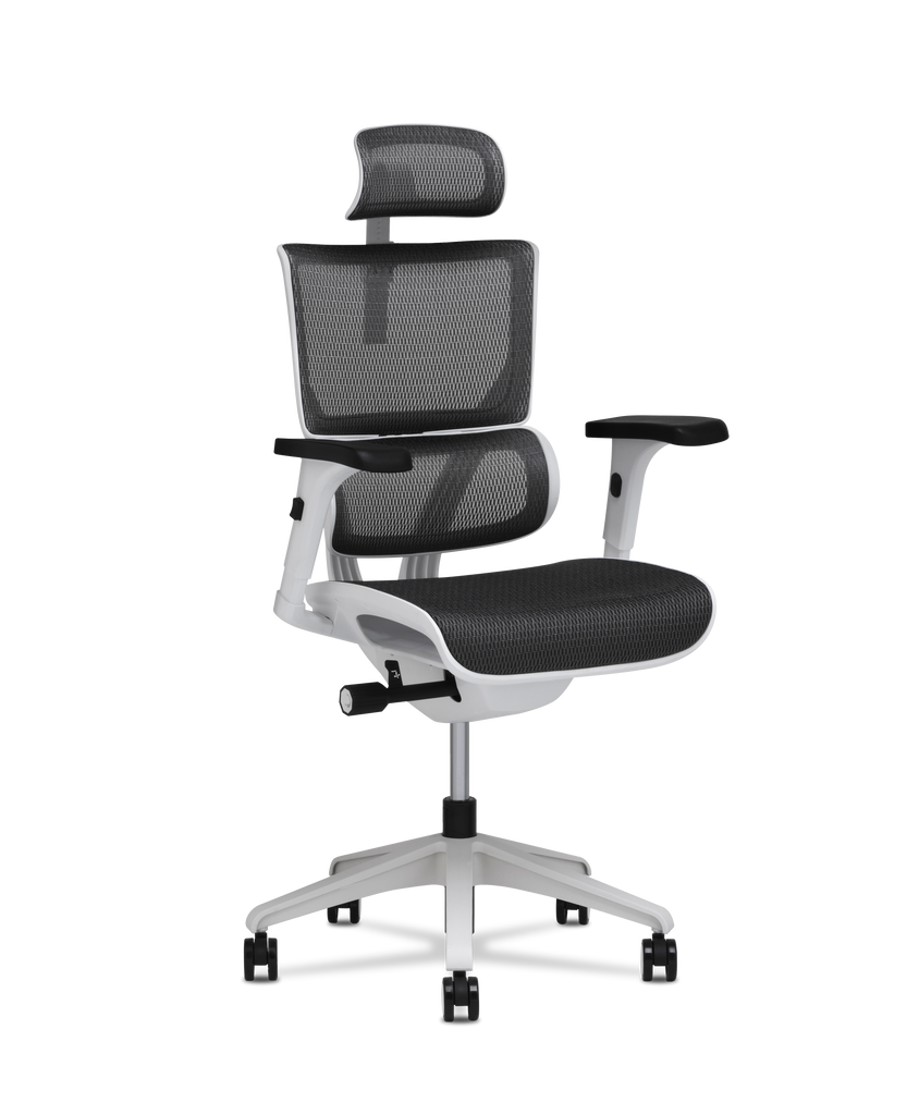 XSVision Small Office Chair (Refurbished) XChair Official Site